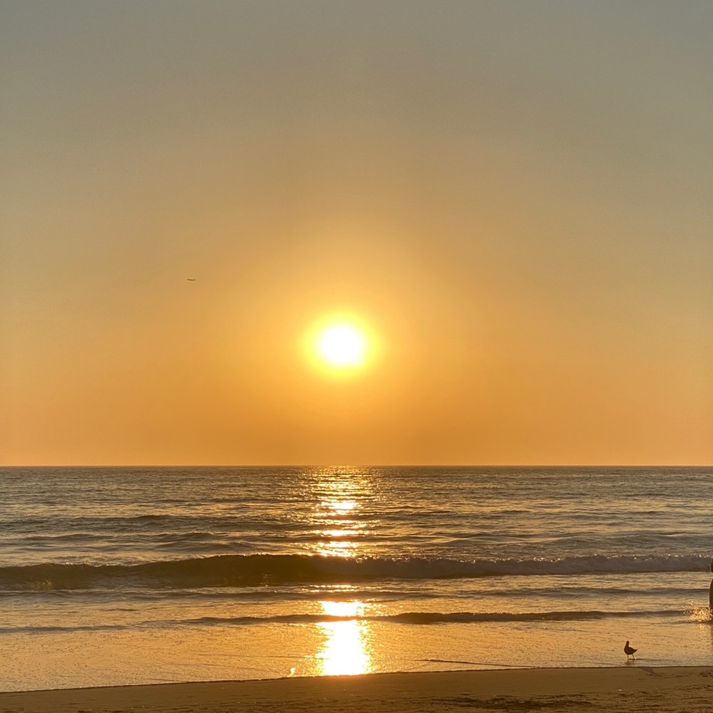 Meet your Posher, Nadine